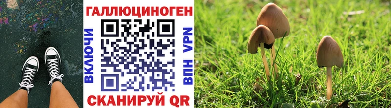 Псилоцибиновые грибы Cubensis  Купить  Красноармейск 
